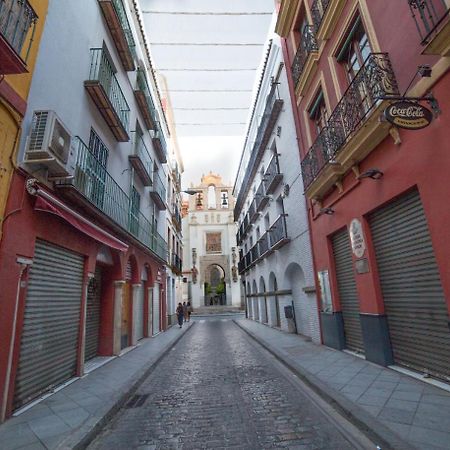 Casa Hernando Colon เซบีญา ภายนอก รูปภาพ